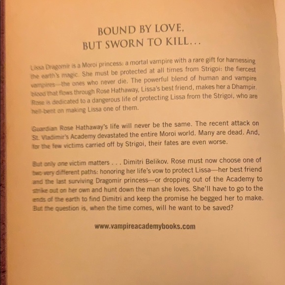 Blood Promise Book - Picture 4 of 4